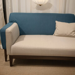 modern living room interior design with white sofa