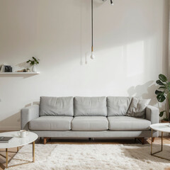 modern living room interior design with white sofa