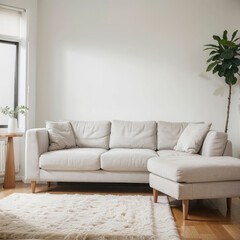 modern living room interior design with white sofa