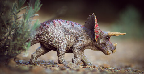 Prehistoric Wonder: Triceratops Roaming Free © J.M. Tornero