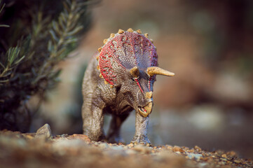 Prehistoric Wonder: Triceratops Roaming Free