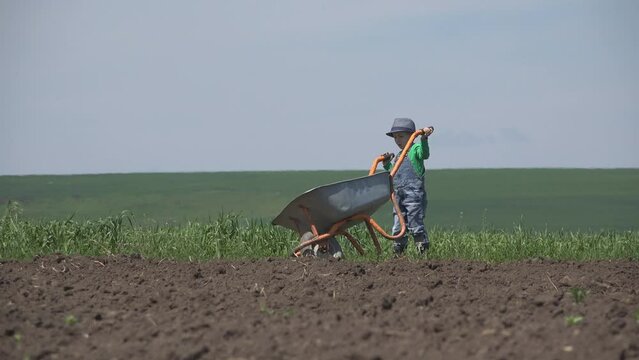 Country little boy carries a heavy wheelbarrow on the agriculture field