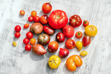 fresh tomatoes on the table
