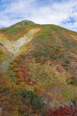 白山の登山道からの紅葉（平瀬道）