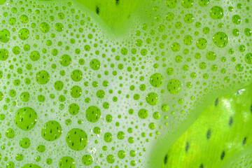 Zielone delikatne bąbelki struktura z bliska na fototapetę,  jaskrawy jasna zieleń 
