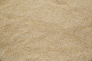 white quinoa image