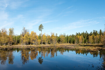 Fototapeta na wymiar Herbst in Schweden an einem kalten Morgen 