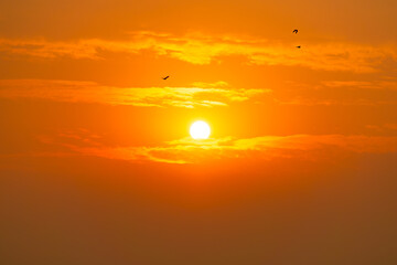 orange sky and sun with three brids, nature landscape background panorama wallpaper