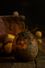 Fine art still life from Italy