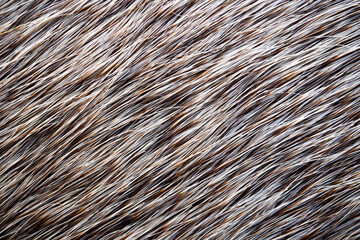 Top view, High-resolution wool is used for making rug.