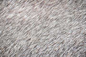 Top view, High-resolution wool is used for making rug.