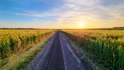 A wheat field at sunset, with a path in the middle and free space for text. the way to success