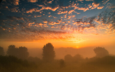 sky in orange and blue with mist and  trees