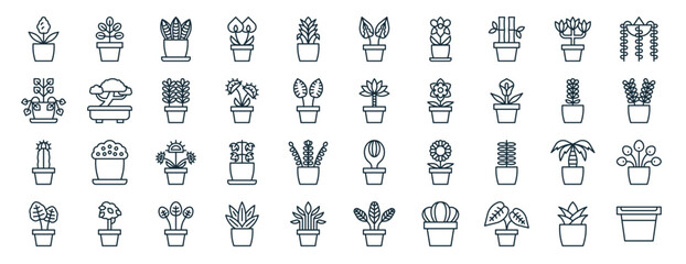 set of 40 outline web indoor plants icons such as ficus, golden pothos, moon cactus, elephants ear, lavender, strings of pearls, aglaonema icons for report, presentation, diagram, web design, mobile