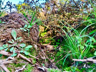 Nature in Roi ET 