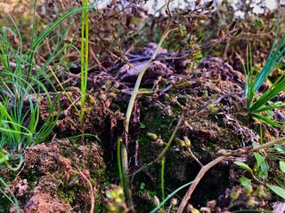 Nature in Roi ET 