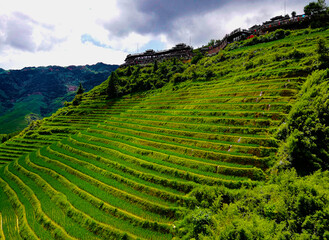 Fototapeta na wymiar Longsheng (Longji) Rice Terraces - tourist attraction in China