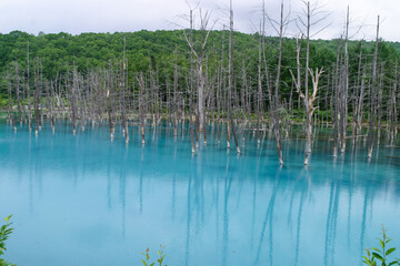 青い池