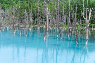 青い池
