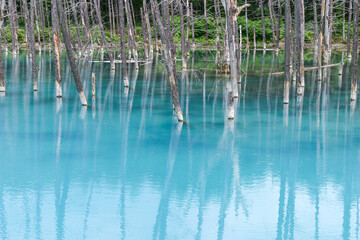 青い池