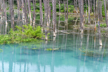青い池