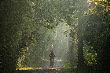 Femme cycliste de dos, sur un chemin en foret, cyclotourisme nature - obrazy, fototapety, plakaty