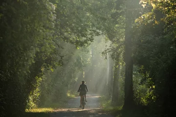 Rolgordijnen Femme cycliste de dos, sur un chemin en foret, cyclotourisme nature © phildu56
