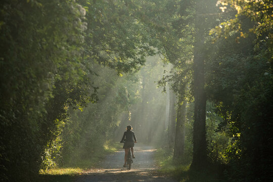 Femme cycliste de dos, sur un chemin en foret, cyclotourisme nature