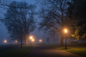 Silhouette of trees illuminated by vintage street lamps, vanishing in thick fog at night. Moody...