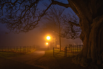 Footpath and gate illuminated by vintage street lamps and vanishing in thick fog at night....