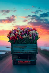  Truck car with colorful tulip flowers on the road in a winter countryside with sunset. Concept of spring coming and winter leaving. © linda_vostrovska