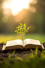 Opened book with growing tree in the spring on a meadow with grass. Concept of education, knowledge and learning.