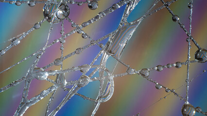 Macro shot of water drops reflected