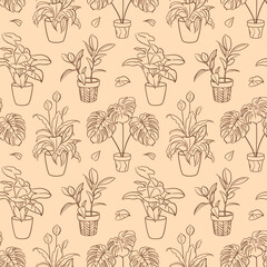 Ficus, Syngonium, Monstera, Spathiphyllum. seamless pattern. Exotic plant in a pot. Home floriculture, house plants, hobby. Botanical Outline illustrations in hand drawn style. Vintage, craft paper.