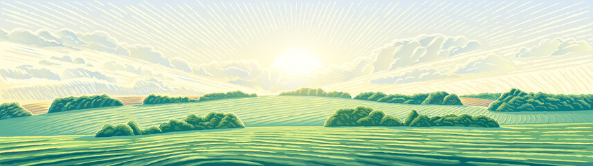 Fototapeta premium Morning rural landscape with hills, an elongated format for the convenience of using it as a background.