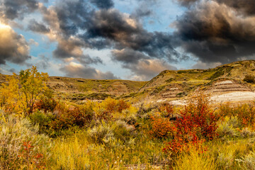 Midland Provincial Park, Alberta, Canada