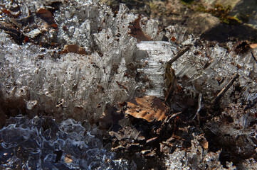 horizontal and vertical ice crystals in a stream in the forest with dry beech leaves
selective focus