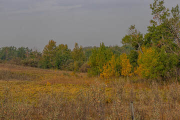 PRA Antelope Hill, Special Area 2, Alberta, Canada