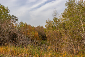 PRA Antelope Hill, Special Area 2, Alberta, Canada