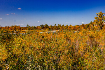 Fototapeta premium Woolford Provincial Park Cardston County Alberta Canada