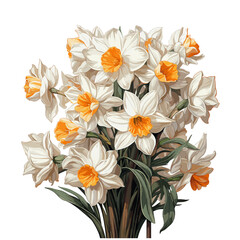 Watercolor painting of a bouquet of daffodils, isolated on a white background.