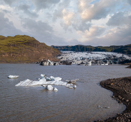 Soheimajokull picturesque glacier in southern Iceland. The tongue of this glacier slides from the...