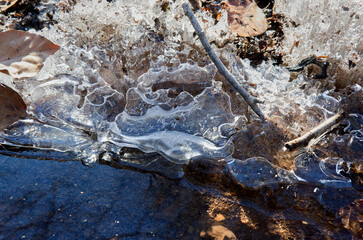 ice crystals with fallen branches in a stream in the forest with dry beech leaves
selective focus
