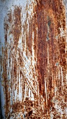 Obraz premium Texture of rusty galvanized metal fence