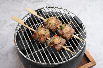 Yakitori and kushiyaki skewered meat