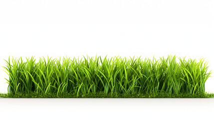 Bright green grass border isolated on transparent background.