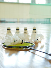 明るい体育館の床の上に置かれたバドミントンのシャトルの様子
