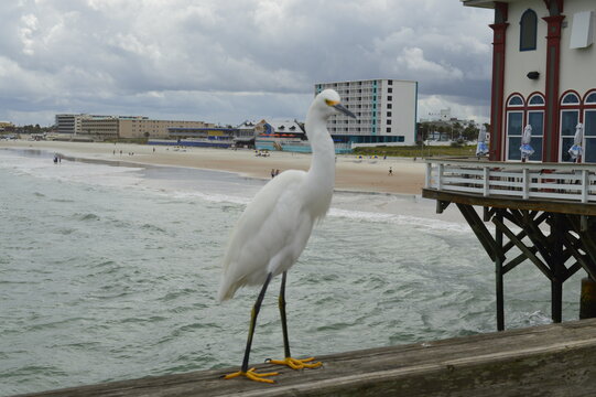 Garsa com Clean Water ao fundo