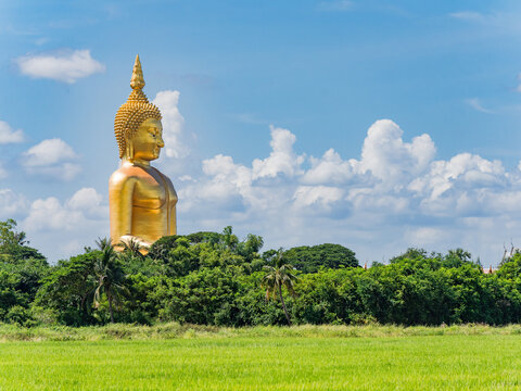 The Giant Buddha at Wat Muang, Ang Thong, Thailand
