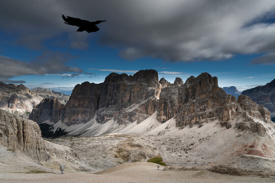 Lagazuoi, vista dal rifugio con gracchio in volo